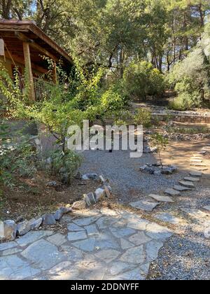 Coniglietti in un giardino di una casa di campagna. Conigli bianchi e marroni neri al portico di un ranch. Foto Stock