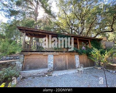 Coniglietti in un giardino di una casa di campagna. Conigli bianchi e marroni neri al portico di un ranch. Foto Stock