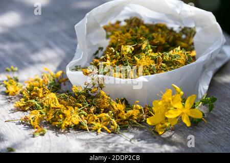 Johanniskraut getrocknet, getrocknete Blüten, Johanniskraut-Blüten, Johanniskrautblüten, Blütentee, Kräutertee, Tee, Heiltee, Johanniskraut, Tüpfel-Jo Foto Stock