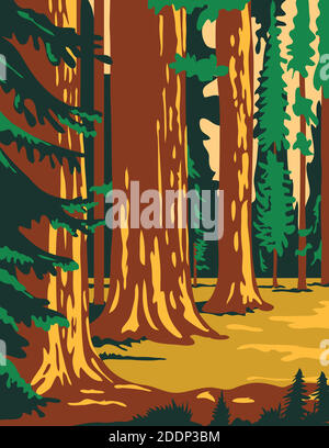 WPA poster art del Sequoia National Park, un parco nazionale americano nella Sierra Nevada meridionale ad est di Visalia, California, Stati Uniti in opere p Illustrazione Vettoriale