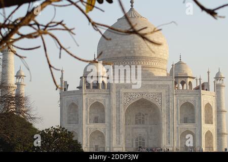 Taj Mahaj, Agra, India- meraviglia del mondo daaaaaaaaaaaaaaaaaaaaaaaaaaaaaaaaaaaaaaaaaaaaaaaaaaaaaaaaaaaaaaaaaaaaaaaaaaaaaaaaaaaaaaaaaaaaaaaaaaaaaaaaaaaaaaaaaaaaaaaaaaaaaaaaaaaaaaaaaaaaa Foto Stock