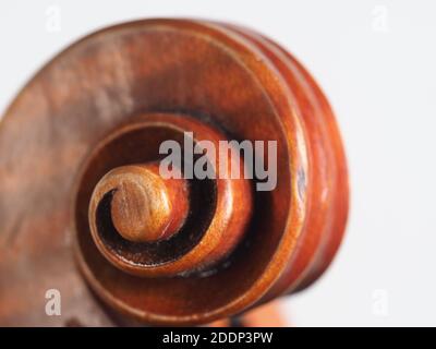 Contemporaneo violino in legno fatto a mano e dettagli solati su bianco sfondo Foto Stock