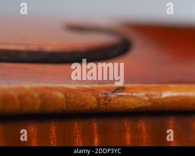 Contemporaneo violino in legno fatto a mano e dettagli solati su bianco sfondo Foto Stock