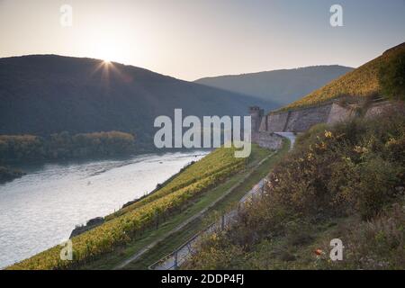 Geografia / viaggio, Germania, Assia, Ruedesheim sul Reno, sole attraverso le colline vigna vicino a Ru, diritti aggiuntivi-clearance-Info-non-disponibile Foto Stock