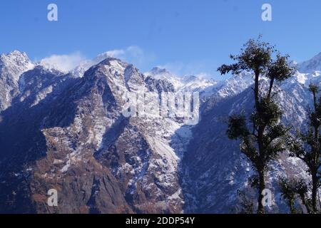 Bellezza della neve a 28000 piedi, Auli, Uttarakhand, India Foto Stock