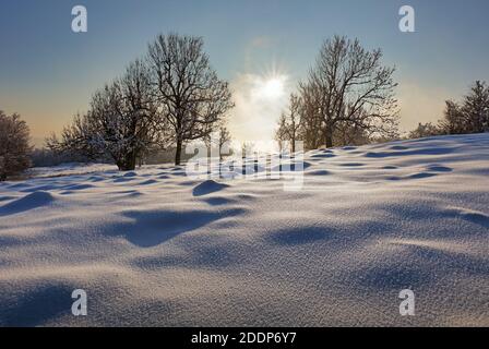 Montagna frana in inverno con foresta Foto Stock