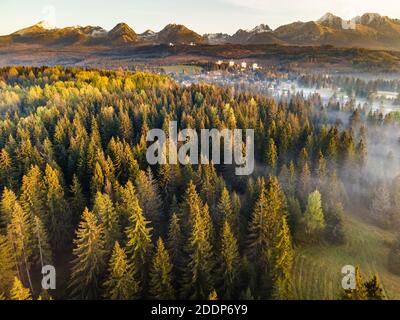 Bella mattina in High Tatra Mountains. Nebbia su caduta Foliage. Vista aerea drone. Foto Stock