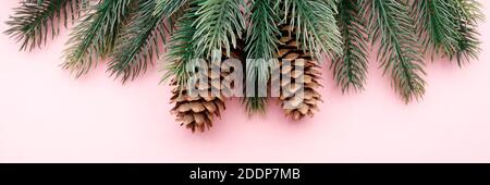 Sfondo rosa pastello, abete e coni. Sfondo per pubblicità o saluti. Foto Stock