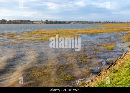 Alta marea livello dell'acqua che si affaccia sulla vegetazione delle paludi saline, fiume Deben, Suffolk, Inghilterra, Regno Unito Foto Stock