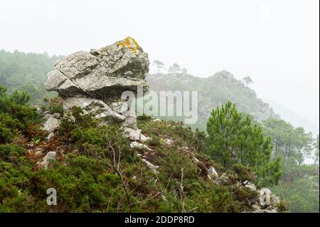 Costa vicino Morgat (Bretagna, Francia) in una giornata nuvolosa in tarda estate Foto Stock