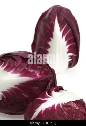 Trevise insalata, cichorium intybus contro uno sfondo bianco Foto Stock