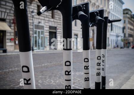 Scooter elettrici Bird parcheggiato in Via Nazionale si è allineato e pronto a noleggiare. Gli scooter sono disponibili per il noleggio utilizzando l'app birdt per smartphone Foto Stock