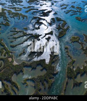 Marsh marea, MARISMA maresciano (MARISMA), bassa marea, Marismas de Santoña, Parco Naturale Victoria y Joyel, Cantabria, Spagna, Europa Foto Stock