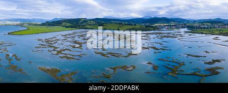 Marsh marea, MARISMA maresciano (MARISMA), bassa marea, Marismas de Santoña, Parco Naturale Victoria y Joyel, Cantabria, Spagna, Europa Foto Stock