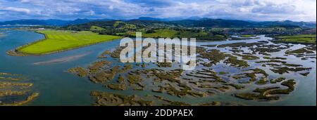 Marsh marea, MARISMA maresciano (MARISMA), bassa marea, Marismas de Santoña, Parco Naturale Victoria y Joyel, Cantabria, Spagna, Europa Foto Stock