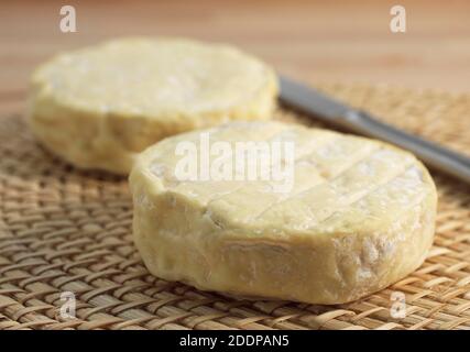 Formaggio francese chiamato Saint Marcellin prodotta da latte di vacca Foto Stock