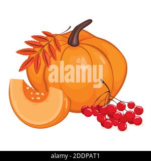 Zucca e molte bacche rosse di rowan con foglie arancioni d'autunno, illustrazione vettoriale su sfondo bianco Illustrazione Vettoriale