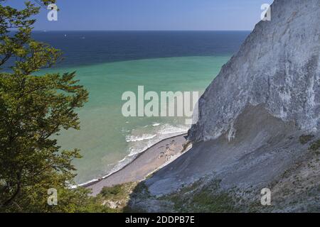 Geografia / viaggio, Danimarca, Zelanda, isola Mon, scogliera di gesso vicino Cliffs of Mon, Mons Klint sull'isola, Additional-Rights-Clearance-Info-Not-Available Foto Stock