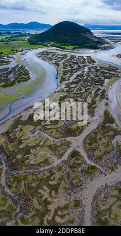 Vista aerea, Escalante, Marismas de Santoña, Parco Naturale Victoria y Joyel, Cantabria, Spagna, Europa Foto Stock