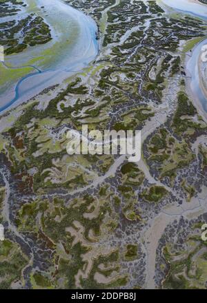 Vista aerea, Escalante, Marismas de Santoña, Parco Naturale Victoria y Joyel, Cantabria, Spagna, Europa Foto Stock