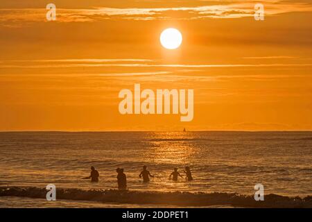Swansea, Regno Unito. 26 Nov 2020. Nuotatori che fanno il massimo del tempo stupefacente mentre il mare è bagnata dal bagliore dorato dell'alba a Langland Bay vicino a Swansea questa mattina. Credit: Phil Rees/Alamy Live News Foto Stock