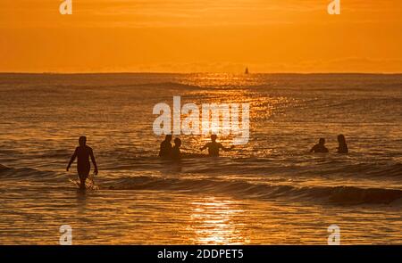Swansea, Regno Unito. 26 Nov 2020. Nuotatori che fanno il massimo del tempo stupefacente mentre il mare è bagnata dal bagliore dorato dell'alba a Langland Bay vicino a Swansea questa mattina. Credit: Phil Rees/Alamy Live News Foto Stock