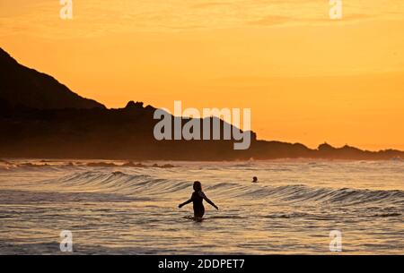 Swansea, Regno Unito. 26 Nov 2020. Nuotatori che fanno il massimo del tempo stupefacente mentre il mare è bagnata dal bagliore dorato dell'alba a Langland Bay vicino a Swansea questa mattina. Credit: Phil Rees/Alamy Live News Foto Stock