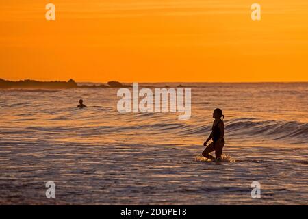 Swansea, Regno Unito. 26 Nov 2020. Nuotatori che fanno il massimo del tempo stupefacente mentre il mare è bagnata dal bagliore dorato dell'alba a Langland Bay vicino a Swansea questa mattina. Credit: Phil Rees/Alamy Live News Foto Stock