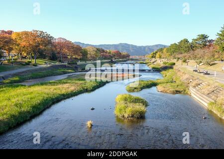Kamogawa (fiume Kamo) a Kyoto, in Giappone. Foto Stock