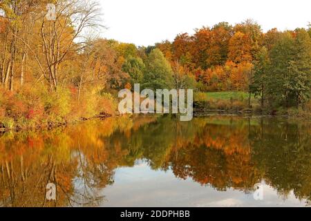 Umore autunnale in un lago, Germania, Baden-Wuerttemberg Foto Stock