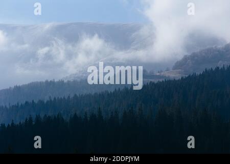 Non esclusivo: IZKY, UCRAINA - 25 NOVEMBRE 2020 - Mist sorge da fitte foreste che coprono la Polonyna Borzhava, una catena montuosa di Beskids poloninici Foto Stock