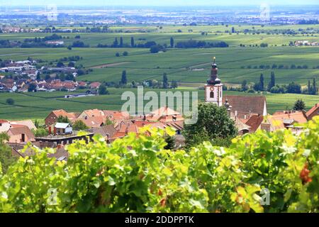 Vista dai vigneti intorno ai villaggi rhodt unter rietburg, Hainfeld, Burrweiler, Weyher, Edenkoben, Edesheim sulla strada del vino tedesco nei palati Foto Stock