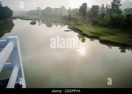 Paesaggio di montagne, alberi e nebbia nel periodo dell'alba al parco nazionale di Kaziranga, Assam, India. Foto Stock