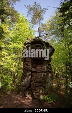 Formazione di pietra arenaria chiamata Satanskrocken vicino a Dahn, Renania-Palatinato, Germania Foto Stock