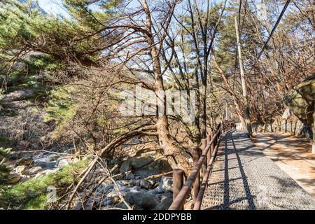 Valle, sentiero e gli alberi delle montagne Bukhansan a Seoul, Corea del Sud, parco nazionale di Bukhansan. Foto Stock
