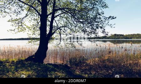 Passeggiate sul lago in una giornata di sole Foto Stock