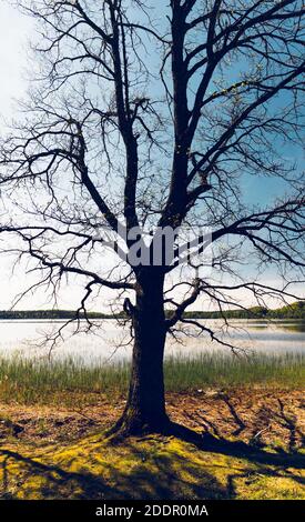 Passeggiate sul lago in una giornata di sole Foto Stock