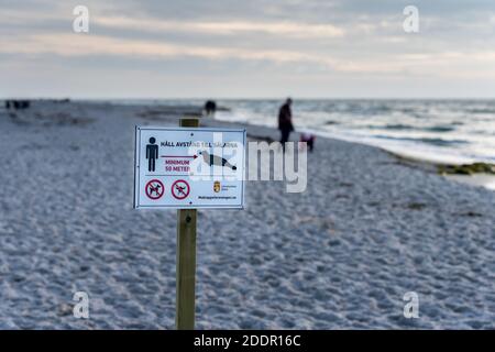 15 novembre 2020 - Falsterbo, Svezia: Un cartello informativo fuori dalla riserva naturale di Maklapen al tramonto. Questa riserva è molto popolare a causa dei molti uccelli migratori e colonie di foche Foto Stock