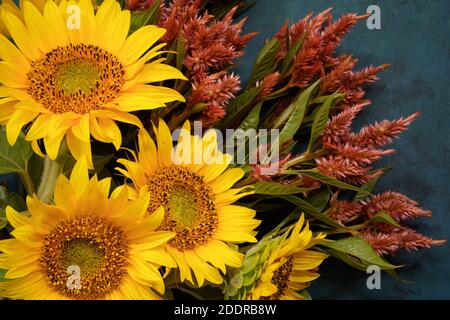 Bouquet di fiori recisi contenente girasoli e varietà di Celosia. Terracotta Foto Stock