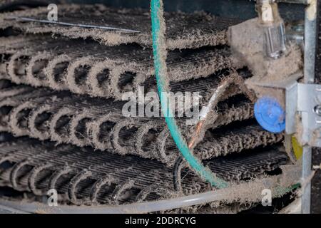 Bobine di raffreddamento del condensatore del frigorifero sporche coperte da polvere e peli di animali domestici. Concetto di attività domestiche, riparazione di apparecchi, manutenzione e assistenza. Foto Stock