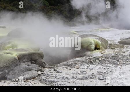 Fumarole di zolfo a te Puia o Whakarewarewa, Nuova Zelanda Foto Stock