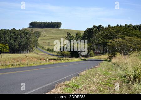 Autostrada curva, all'interno di San Paolo, Brasile, strada semplice con alberi, prato, semplice autostrada che collega una grande città e una piccola città in int Foto Stock