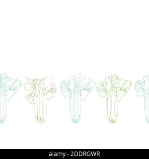 Modern Celery Seamless Vector Repeat Border. Botany Outline disegno vegetale. Cibo, cucina, usura cucina, grembiule, cucina, Salute. File vettoriale EPS 10 Tile. Illustrazione Vettoriale