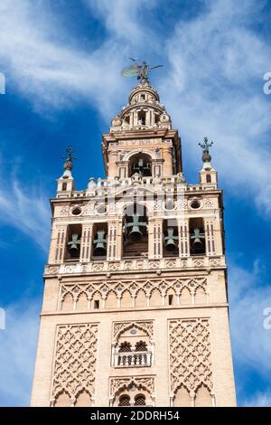 Cattedrale di Siviglia torre campanaria Giralda. Siviglia, Siviglia, Andalusia, Andalusia, Spagna Foto Stock