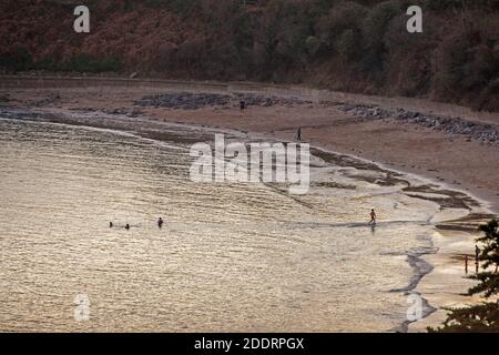Langland Bay, Swansea, Regno Unito. 26 Nov 2020. I nuotatori sfidano il freddo tempo a Langland Bay vicino a Swansea questo pomeriggio alla fine di una soleggiata ma fredda giornata d'autunno Credit: Phil Rees/Alamy Live News Foto Stock