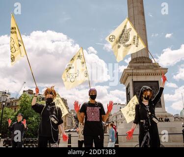 Londra, Regno Unito - 11 luglio 2020: L'azione della ribellione animale sugli impatti dell'agricoltura animale e il sangue dei governi sulle loro mani Foto Stock