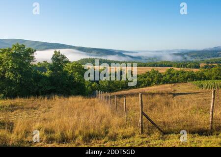 Morning mist rising over the late summer landscape near Murlo, Siena Province, Tuscany, Italy Foto Stock