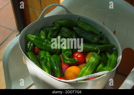 Un secchiello multiuso flessibile con acqua e disinfettante per la pulizia di verdure e frutta sopra una sedia di plastica situata in un patio esterno. Foto Stock