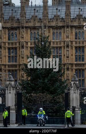 Londra, Regno Unito. 26 Nov 2020. Il primo ministro, Boris Johnson, torna a Downing Street con la sua scorta - è in corso il secondo blocco e nuove porte e un albero di natale sono arrivati alle Camere del Parlamento. Credit: Guy Bell/Alamy Live News Foto Stock