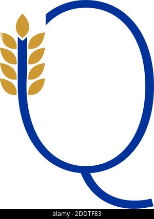 Lettera Q combinata con l'illustrazione del logo con l'icona del grano Illustrazione Vettoriale